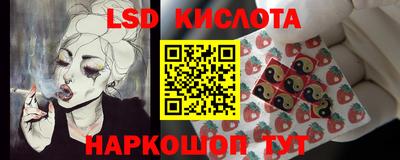 mdpv Краснознаменск